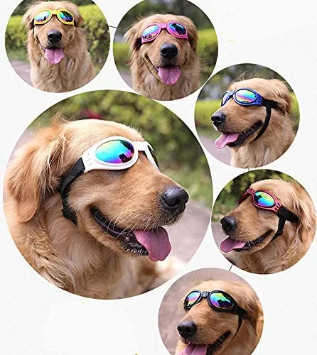 Gafas tornasol perros | Perronalidad