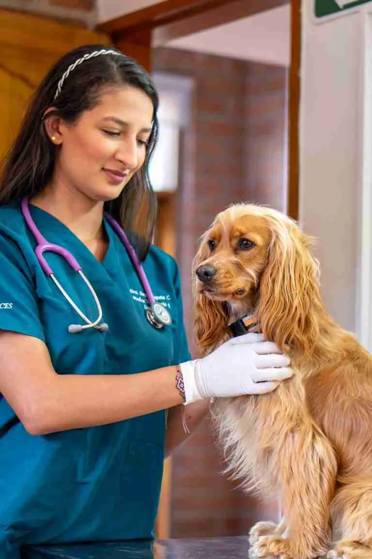 DSC05831 | Perronalidad